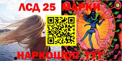 гидропоника Рязань