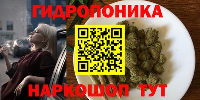 гидропоника Рязань