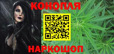сатива Рыбинск